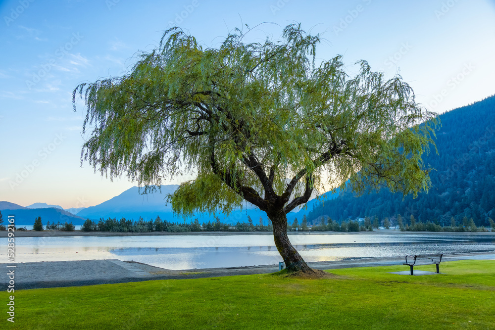 Harrison Lake during Sunny Summer Morning Sunrise. Canadian Nature Landscape Background. Harrison Hot Springs, British Columbia, Canada.