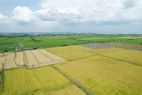 aerial view from flying drone of Field rice with landscape green pattern nature background  top view field rice