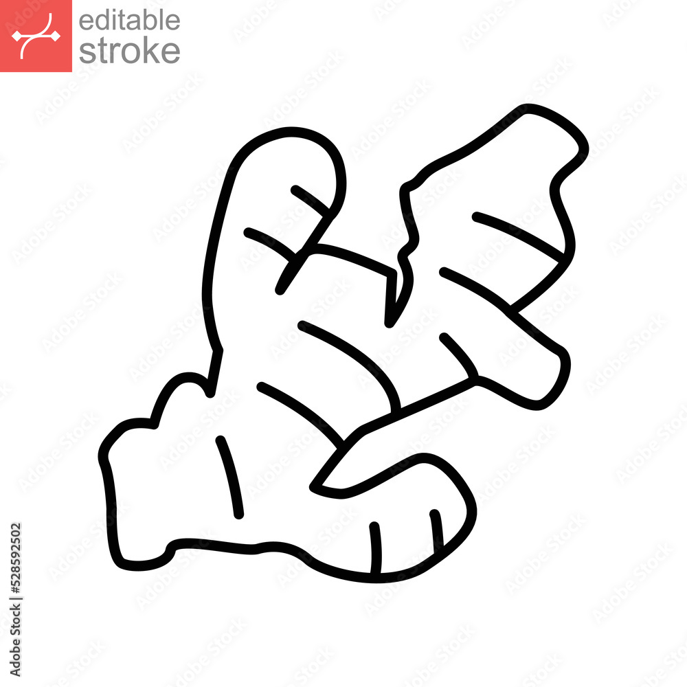 ginger icon. nature vegetable. turmeric spice Fresh ginger root rhizome seasoning herb for Detox food apps website editable stroke. outline style vector illustration design on white background. EPS 10 ginger icon. nature vegetable. turmeric spice Fresh ginger root rhizome seasoning herb for Detox food apps website editable stroke. outline style vector illustration design on white background. EPS 10