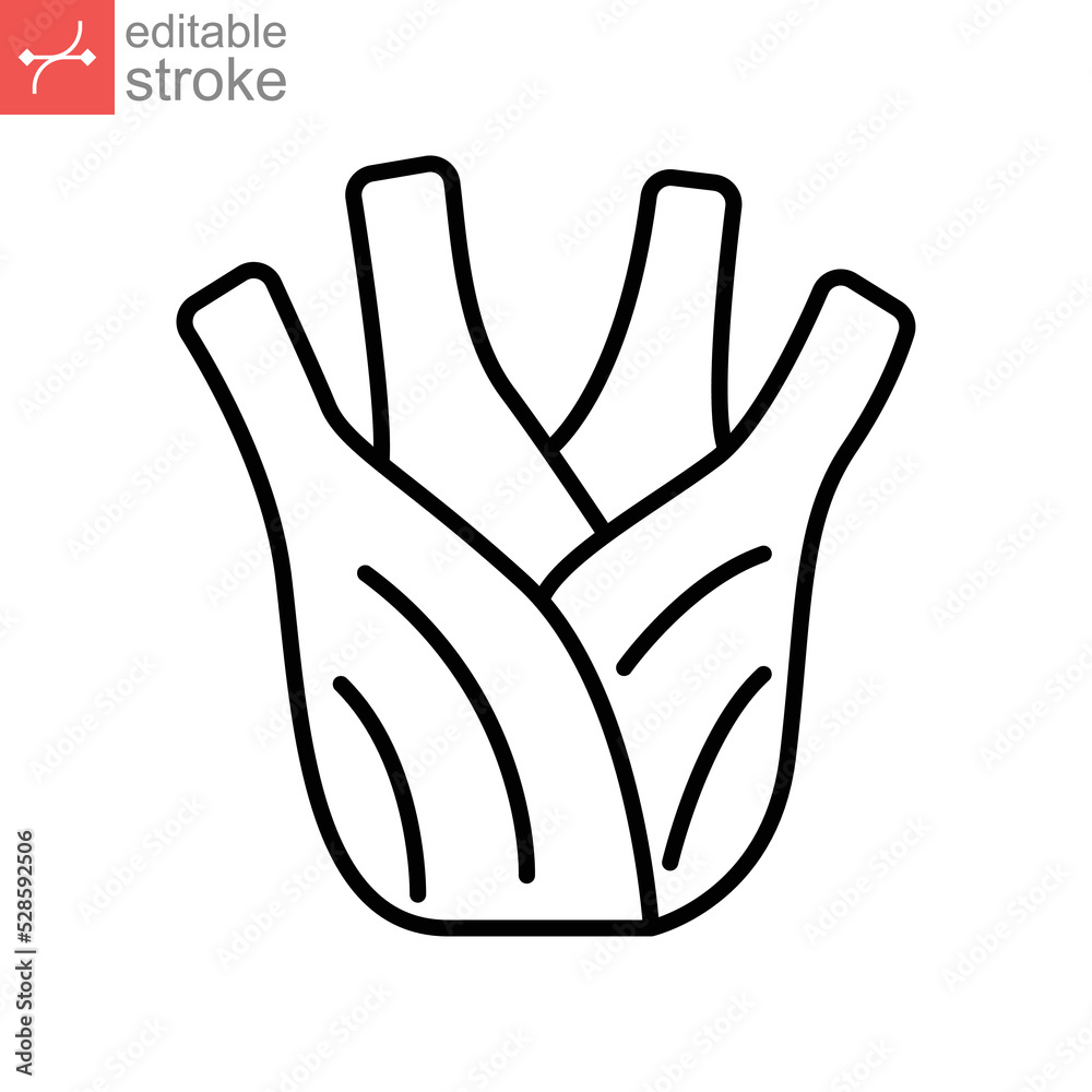 Obraz premium Fennel root icon. Fresh nature bulb, Organic healthy vegetable food. Spicy herbs and spices for natural. outline style. editable stroke. vector illustration. design on white background. EPS 10