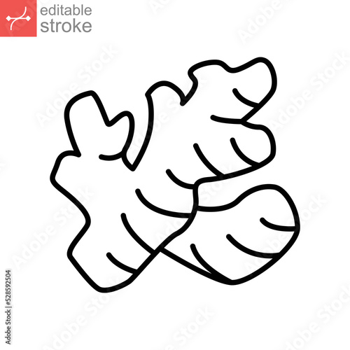 ginger icon. nature vegetable. turmeric spice Fresh ginger root rhizome seasoning herb for Detox food apps website editable stroke. outline style vector illustration design on white background. EPS 10