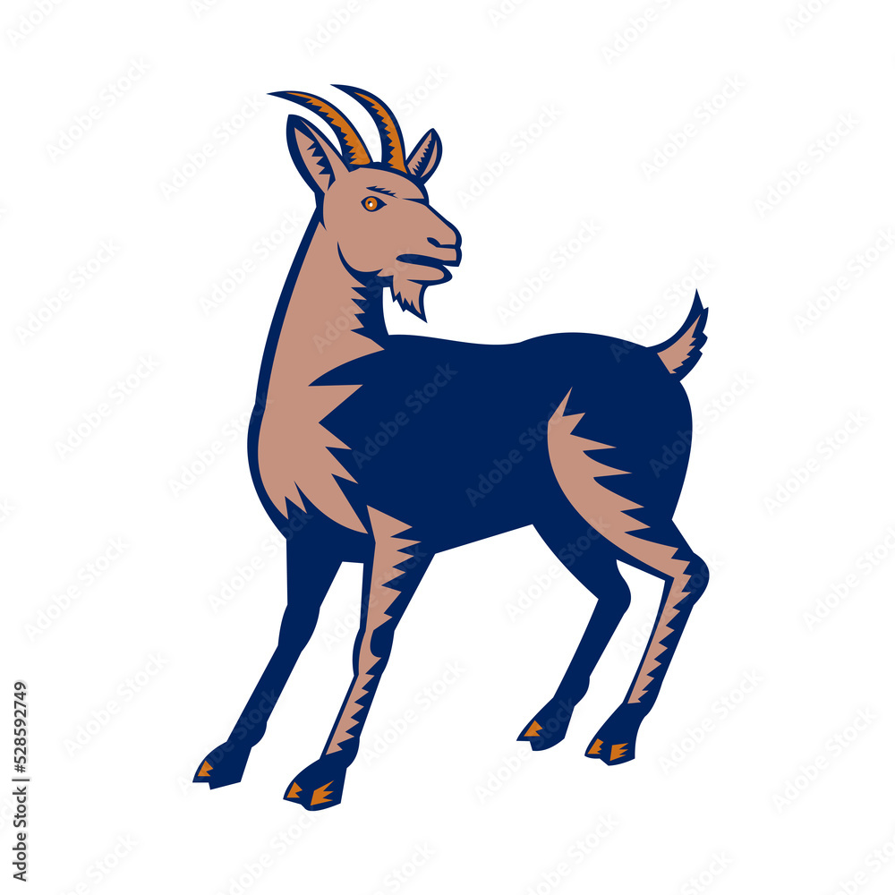 Fototapeta premium Mountain Domestic Goat Woodcut