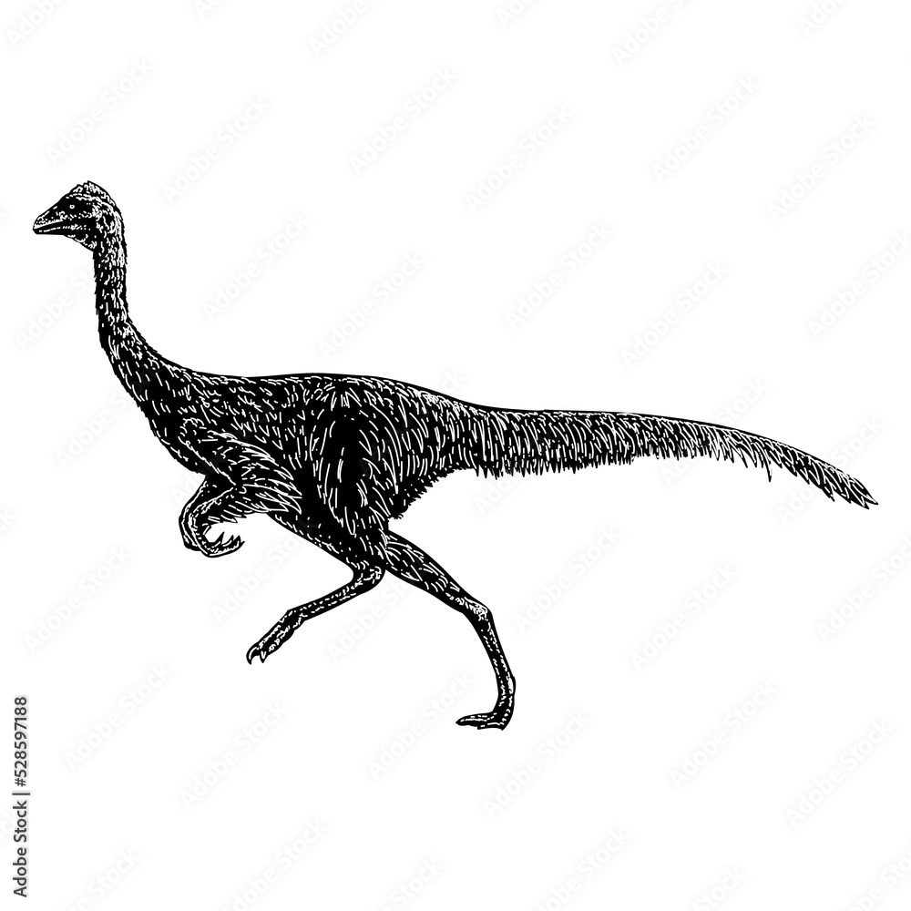 Fototapeta premium Ornithomimus hand drawing vector illustration isolated on background
