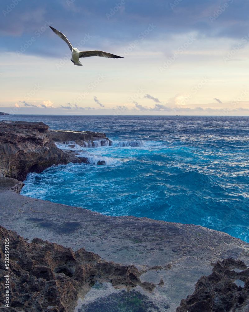 Seagull flying over the sea and rocks on a paradise beach with turquoise water.