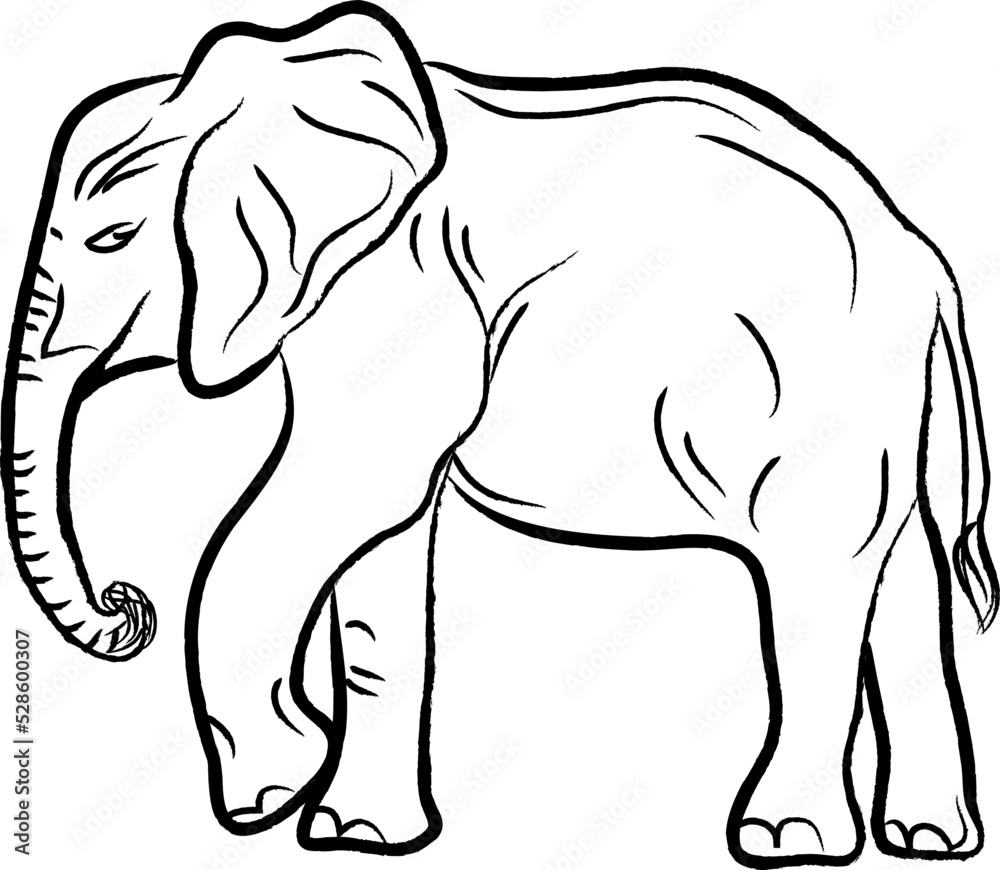 elephant illustration elephant illustration
