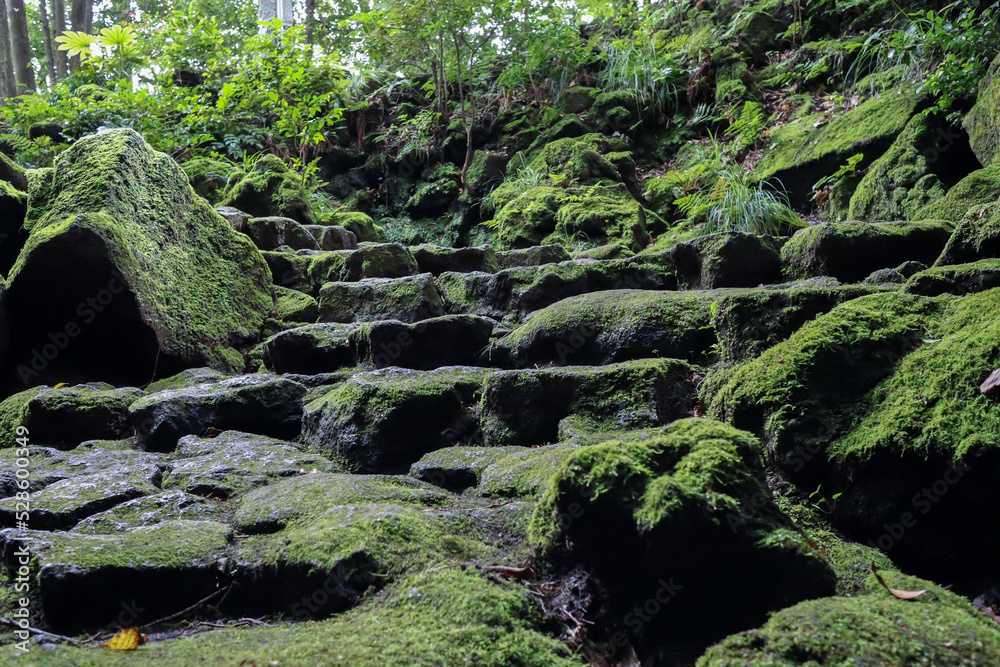 苔の生えた石の階段