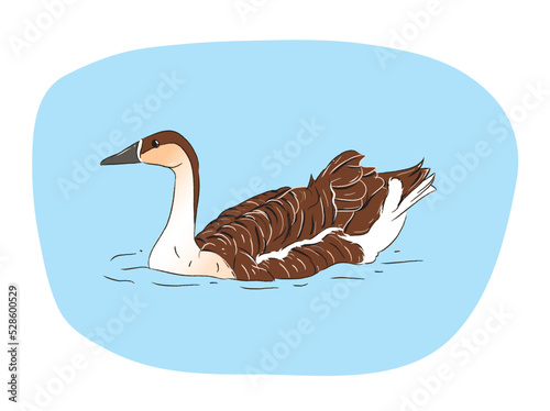 Isolated brown wild geese swimming in the water in vector flat illustration