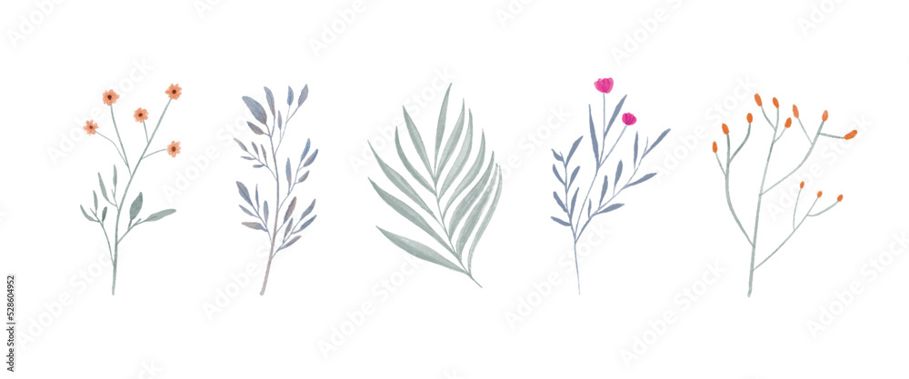 Hand Painted Watercolor Plant Flower Collection Hand Painted Watercolor Plant Flower Collection