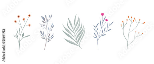 Hand Painted Watercolor Plant Flower Collection