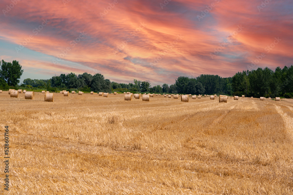 Sunset sky over a field of harvested wheat in bright colors
