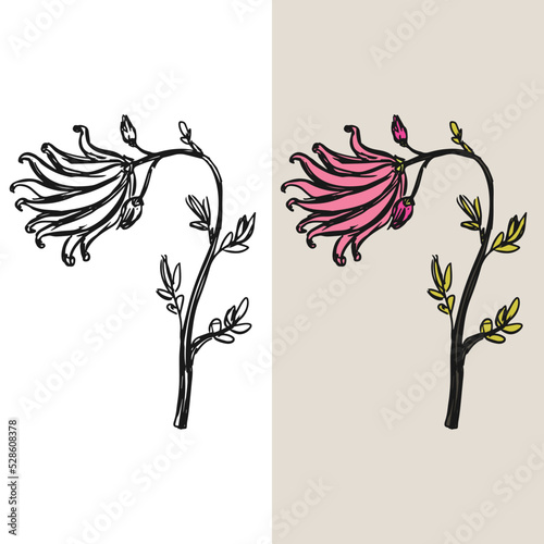 Hand drawn withered flower vector illustration, editable vector file for all your graphic needs.