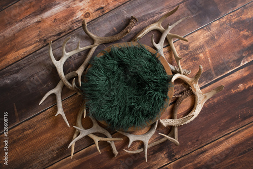 Deer Antler Flat Lay Newborn Digital Background
