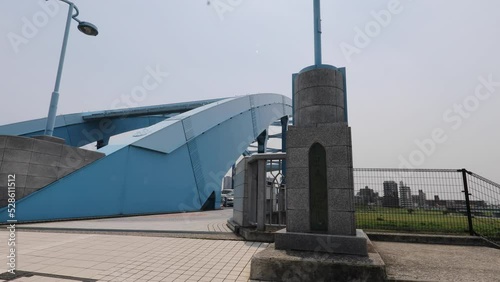 多摩川 丸子橋 大田区から