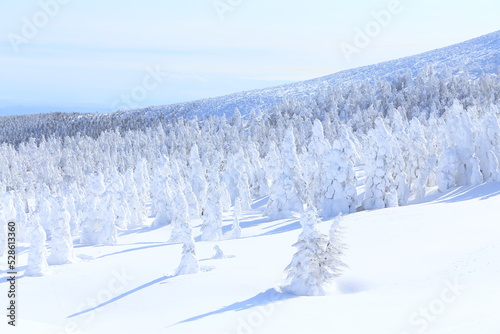 Biome, Snow, Slope © JP trip landscape DL