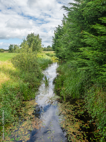 A Stream in Ireland