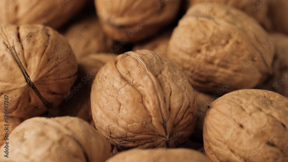 Walnuts. Camera slowly moves up to show close-up of beautiful walnuts Walnuts. Camera slowly moves up to show close-up of beautiful walnuts