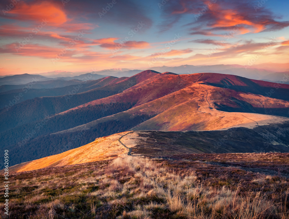 First sunlight glowing mountain hills of Carpathian mountains, Ukraine, Europe. Picturesque autumn view of Borzhava ridge with old country road. Beauty of nature concept background. First sunlight glowing mountain hills of Carpathian mountains, Ukraine, Europe. Picturesque autumn view of Borzhava ridge with old country road. Beauty of nature concept background.