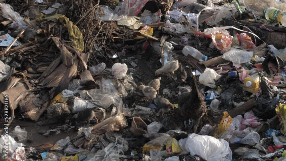 Heap of rubbish and Garbages