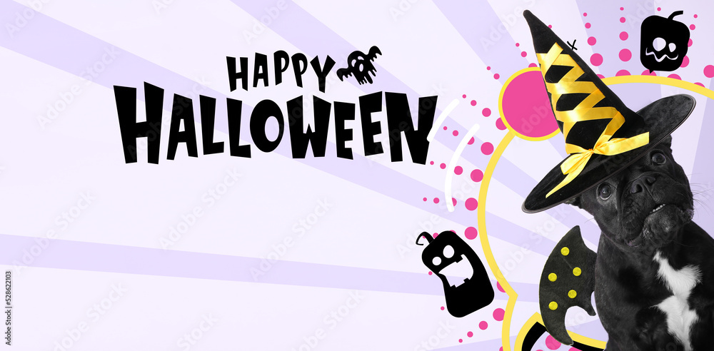 Funny dog with Halloween decor on color background