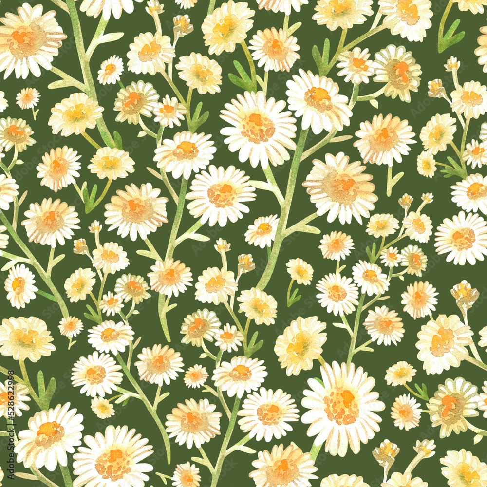 Chamomile seamless pattern. Watercolor vintage illustration. Isolated on a green background.