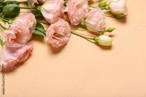 Beautiful pink flowers on beige background