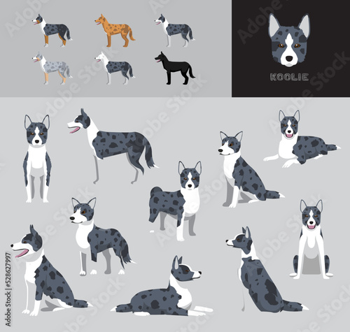 Dog Koolie Cartoon Vector Illustration Color Variation Set
