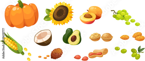 Set of vegetarian natural products containing healthy fats