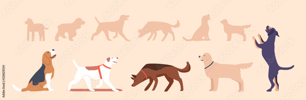 Set Cute Dogs of Different Breeds, Isolated Pets, Group of Domestic Animals Walking, Sitting, Jumping and Playing