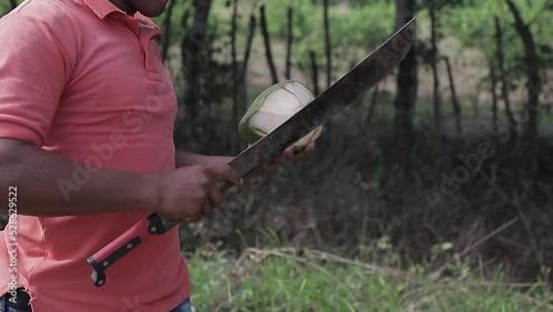 Man breaks coconut, chopping green coconut shell with machete in the field.