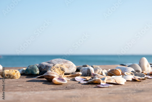 A seashell on the beach. A seashell and a sandy beach on a blurred background of the sea. Conch shell on beach with waves.