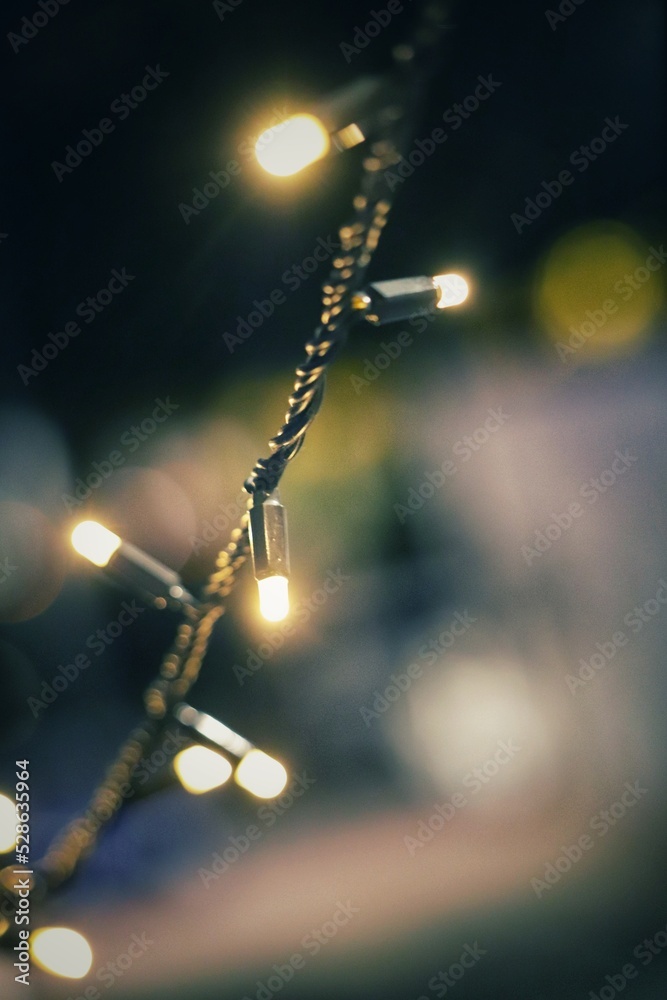 lights in the night lights in the night