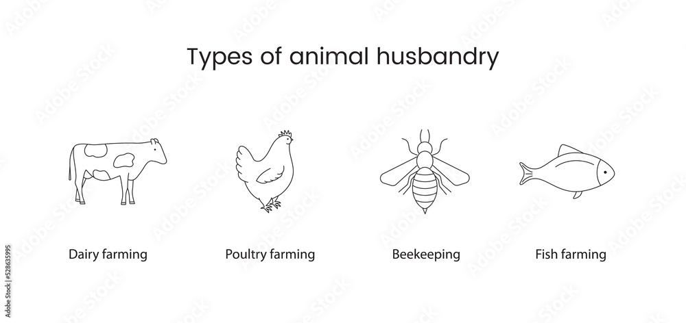 Types of animal husbandry line vector icon cow, chicken, bee and fish.