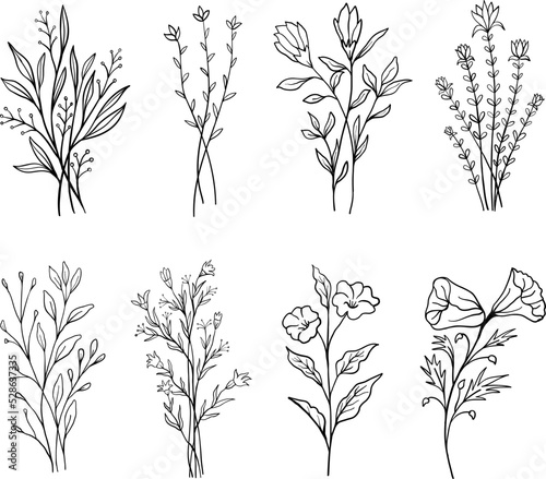 Wild flower illustrations. Hand drawn doodle sketch style wild floral elements. Flower vector illustration. 