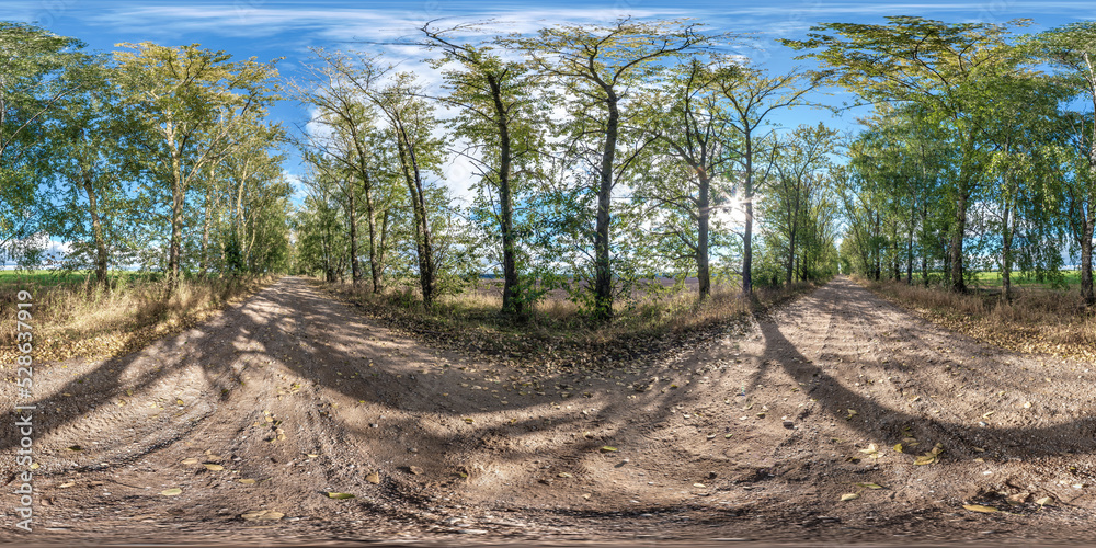 full seamless spherical hdri panorama 360 degrees angle view on no traffic gravel road among tree alley in summer day in equirectangular projection, ready  VR AR virtual reality content