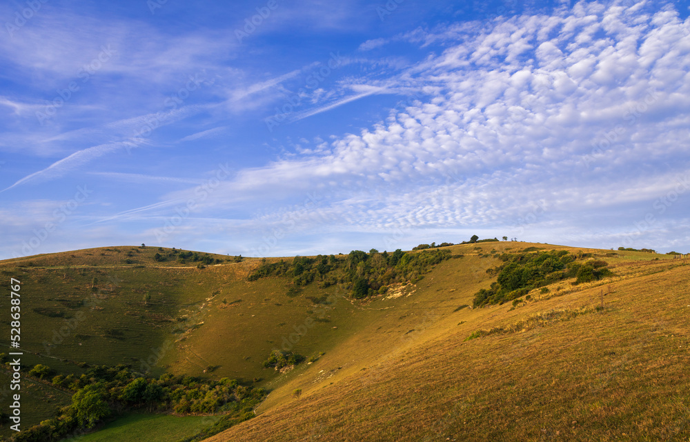 Morning golden hour on the south downs hills of Butts Brow near Eastbourne East Sussex south east England 