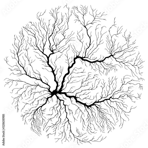 Abstract circle shape illustration of tree roots.