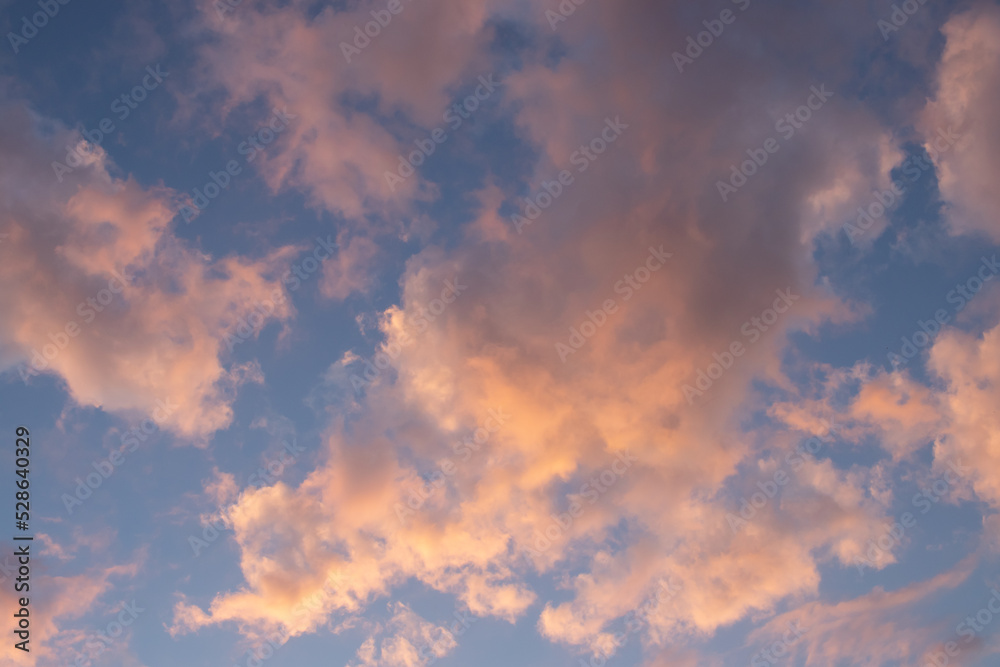 Blue sky with fluffy pink clouds in sunset. Beautiful sky in autumn, fall season. Copy space