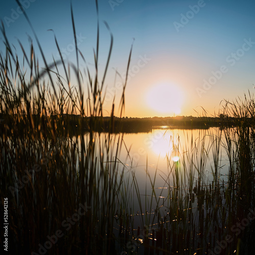 Square photo of a summer sunset over a river with a blue sky in the background and bulrush leaves in the foreground in defocus