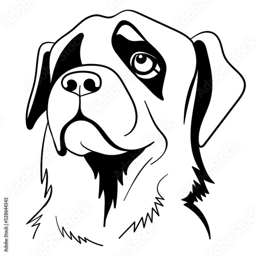 freehand vector linear drawing of a head of a Rottweiler dog breed isolated on a white background. can be used in advertising for pet products, for dogs, pet stores, pet food, dog kennels, shelters.
