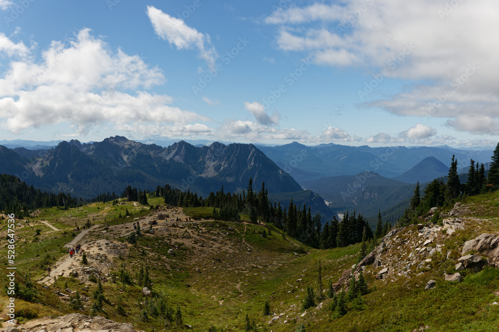 A valley between Deadhorse Trail and Skyline Trail on Mt. Rainier.