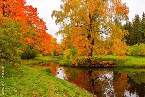 Catherine park in autumn  Pushkin  Saint Petersburg  Russia