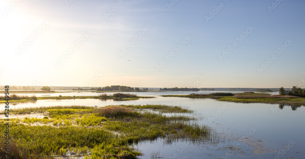 Scenic landscape with foggy river and forest on the horizon. Mystical morning landscape on the pond. Dawn over the lake.