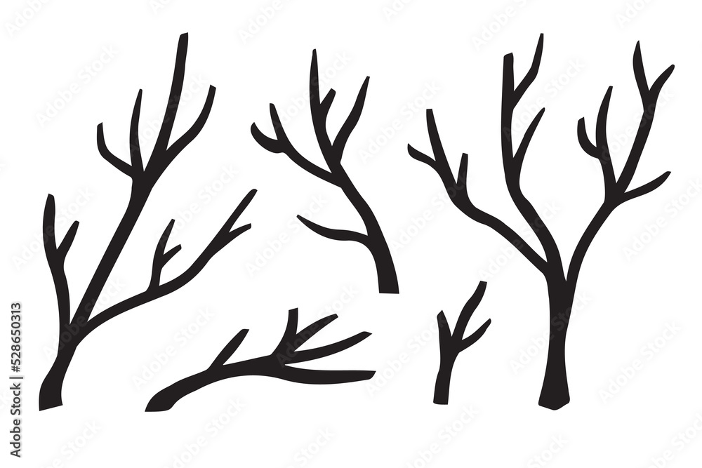Fototapeta premium Branches hand drawn set. Branch Ink illustration. Design element.