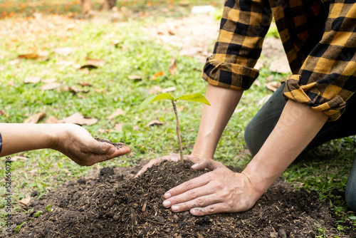 The hands of two people help each other are planting young seedlings on fertile ground, taking care of growing plants. World environment day concept, protecting nature