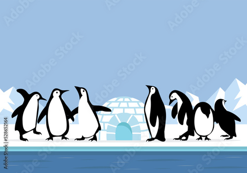 North pole Arctic with penguin landscape view