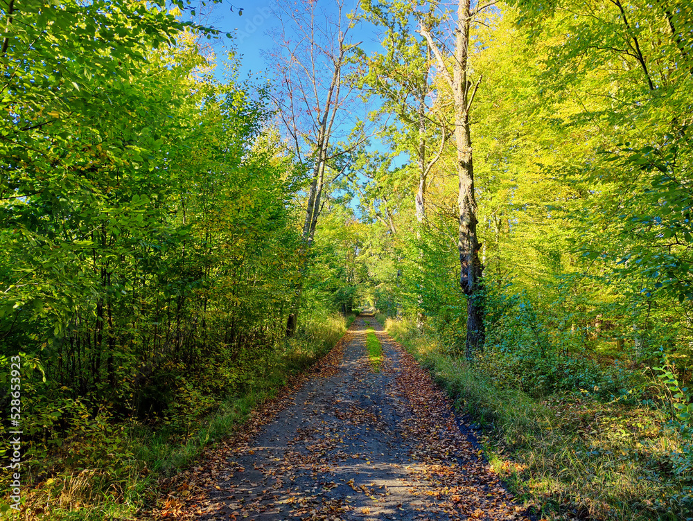 Naklejka premium Dolina Baryczy
