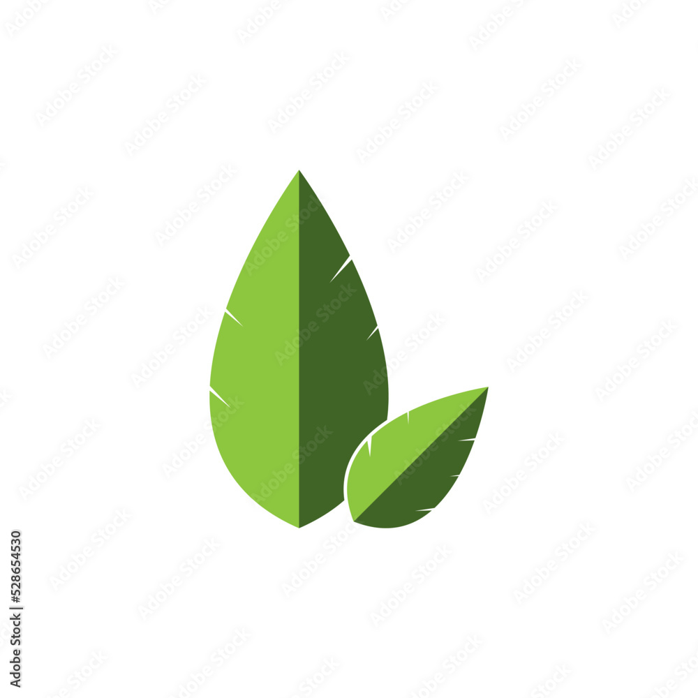 leaf vector icon