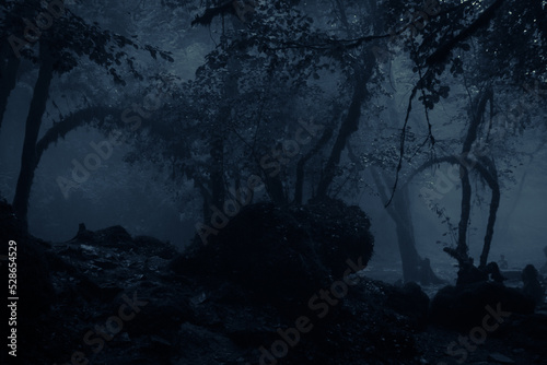 Night view of misty forest infested by ghost