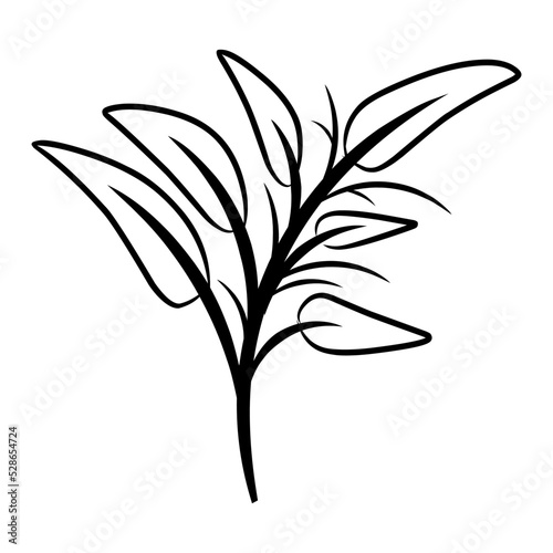 Hand drawn flowers  leaves  twigs  plants isolated on white. Vector illustration in sketch style.
