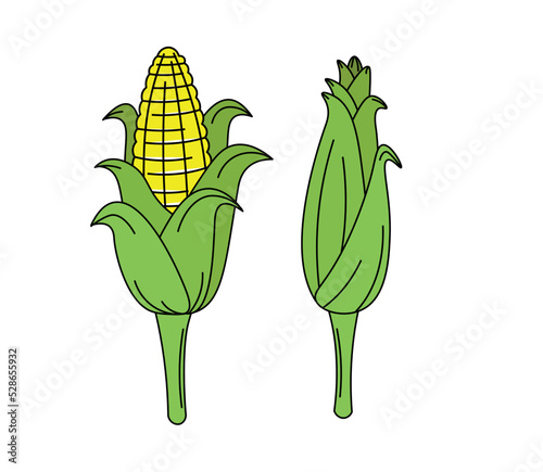 Corn cob isolated on white background in flat style. Farm and agriculture concept.